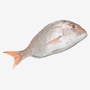 ALPHA CHANGU FISH 1 KG
