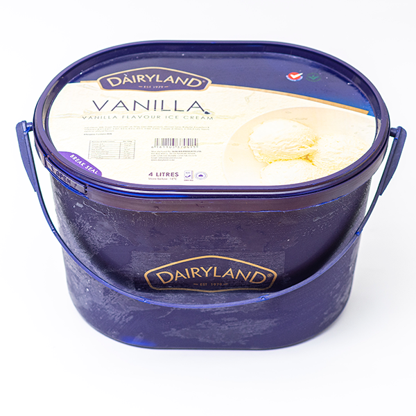 Dairyland Mocha Ice Cream 4ltr