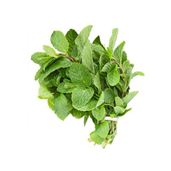 Fresh Mint