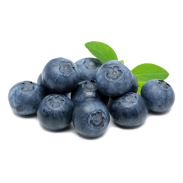 Imported Blueberry Tray