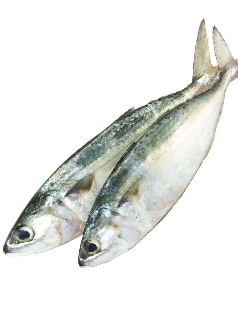 INDIAN MACKERAL FISH 1KG