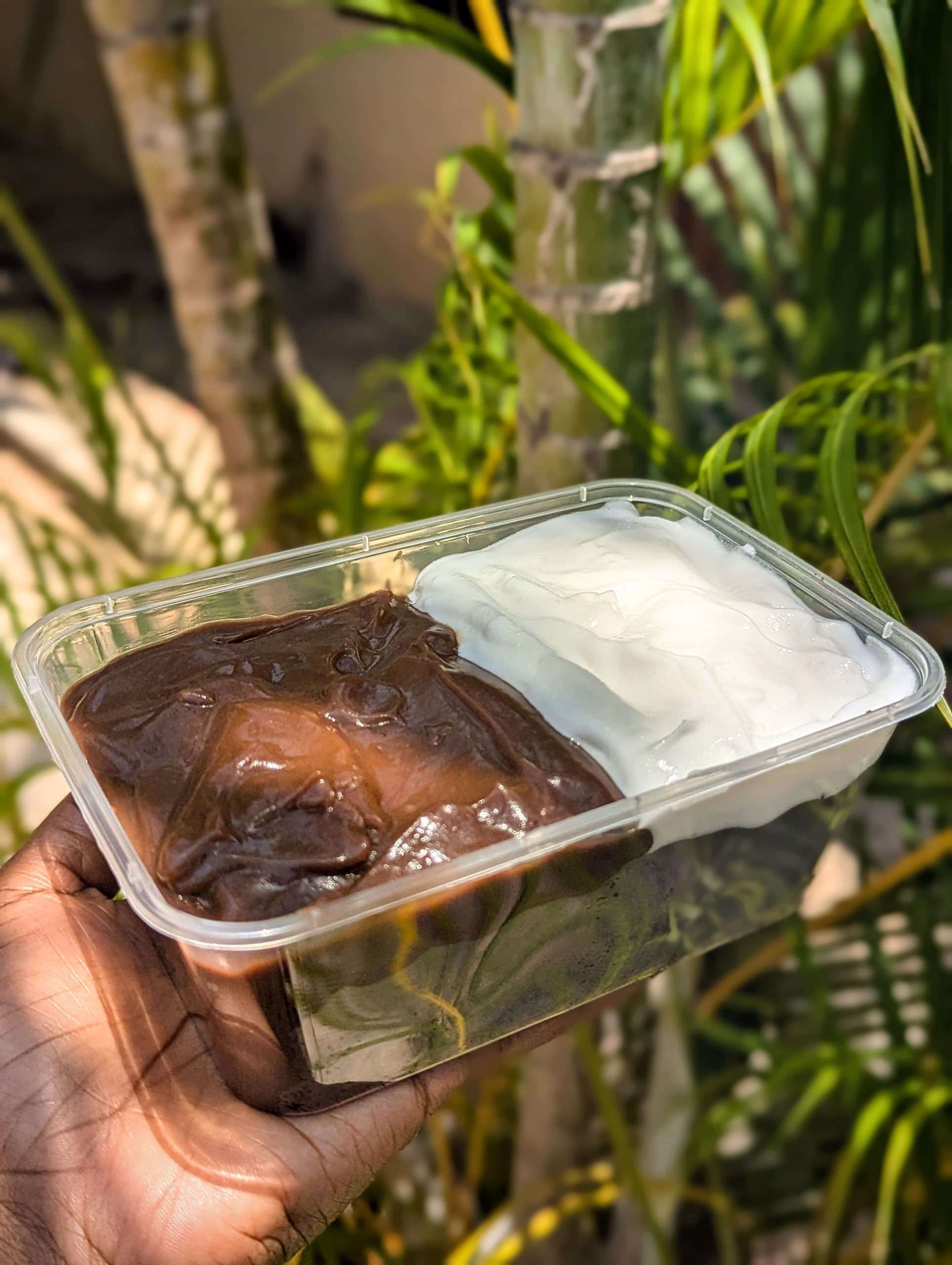 Chocolate cake slices with mixed sauce