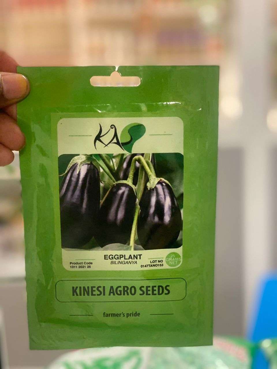 Eggplant (Bilinganya) Kinesi Agro Seeds - 25 gm