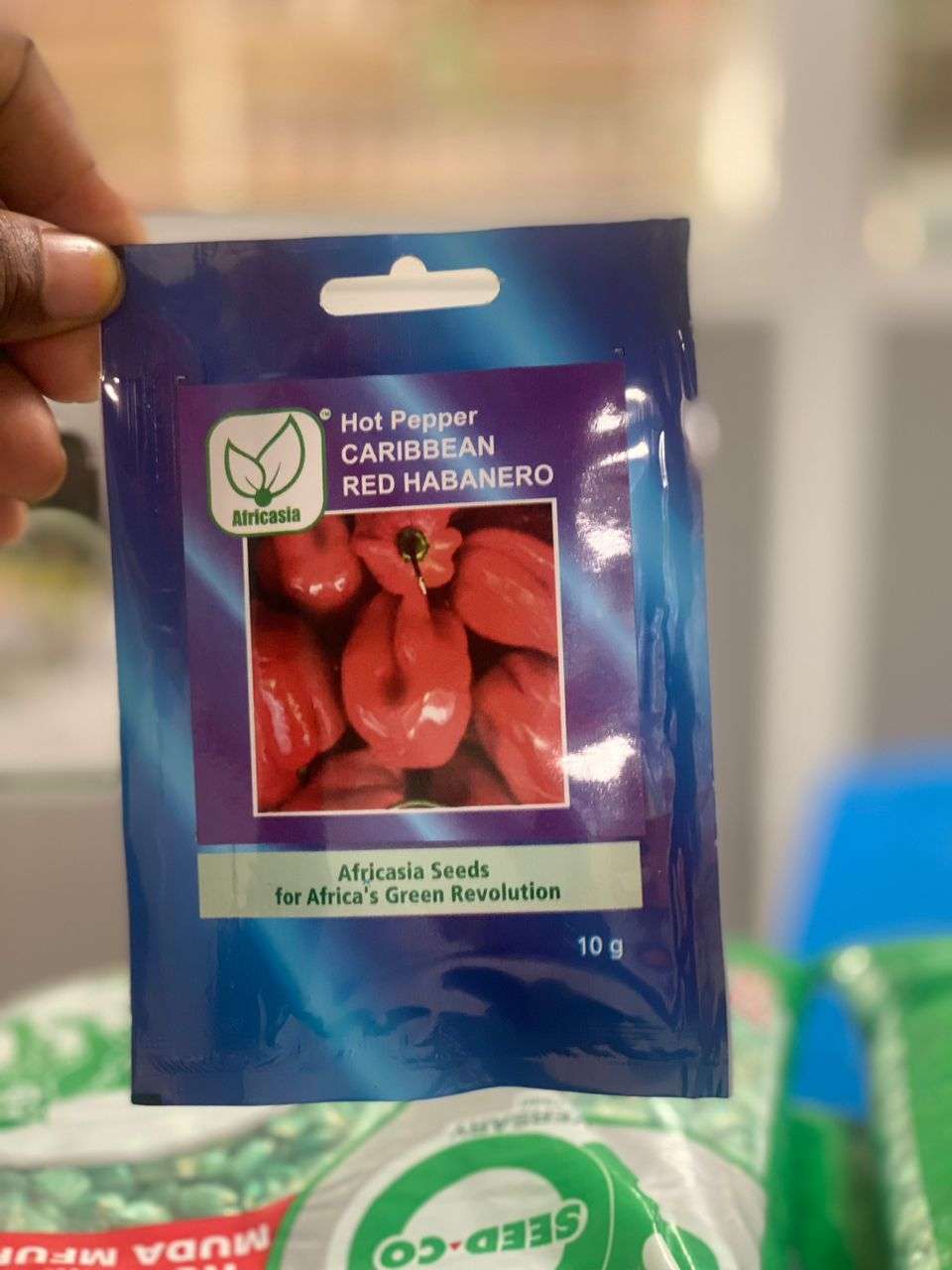 Hot Pepper Caribbean Red Habanero Africasia Seeds - 10 gm