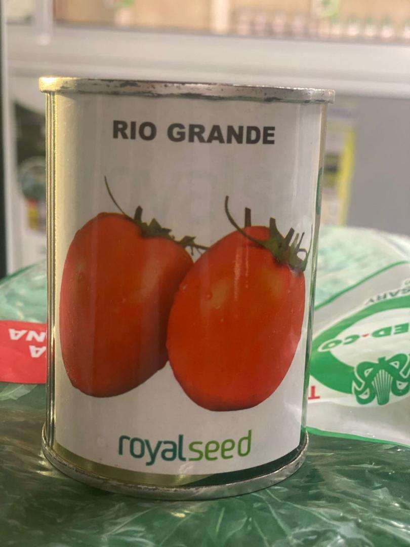 RoyalSeed Rio Grande Tomato Seeds - 50 gm