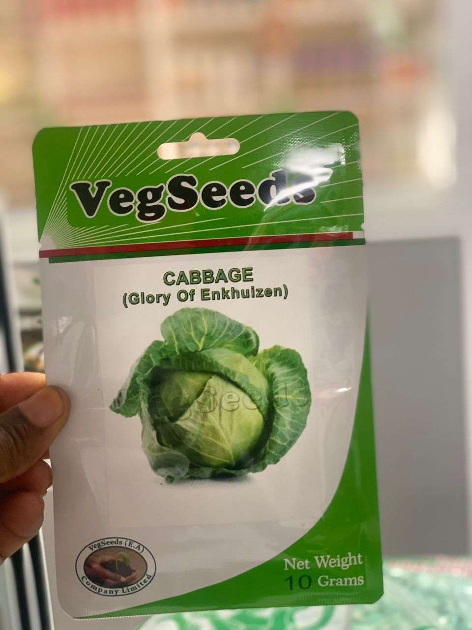 VegSeeds Cabbage (Glory of Enkhuizen) - 10 gm