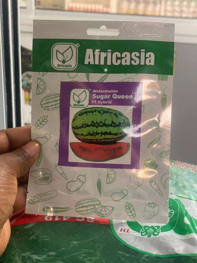 Watermelon Sugar Queen F1 Hybrid Africasia Seeds - 25 gm