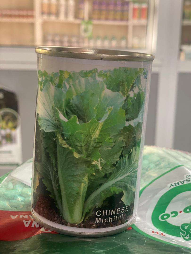 Yes Seeds Chinese Mchihili - 50 gm